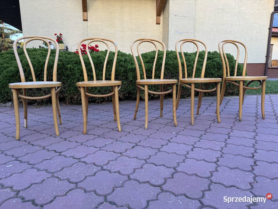 Krzesła gięte 5 Fameg do renowacji art deco Sulbiny