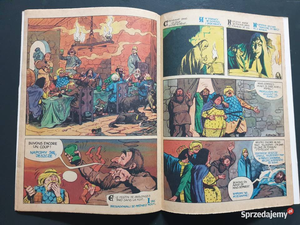 Opowieść o Popielu i Myszach jęz francuski Polskie pomorskie Gdynia