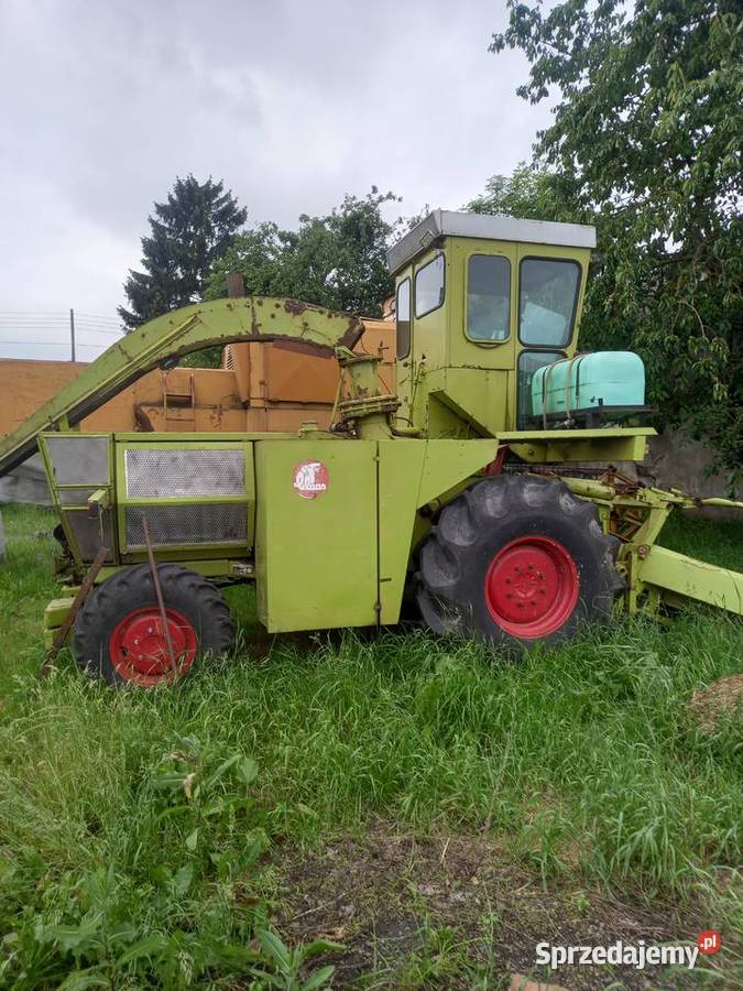 Claas Jaguar SF80 Samojezdne Polskie Łąki