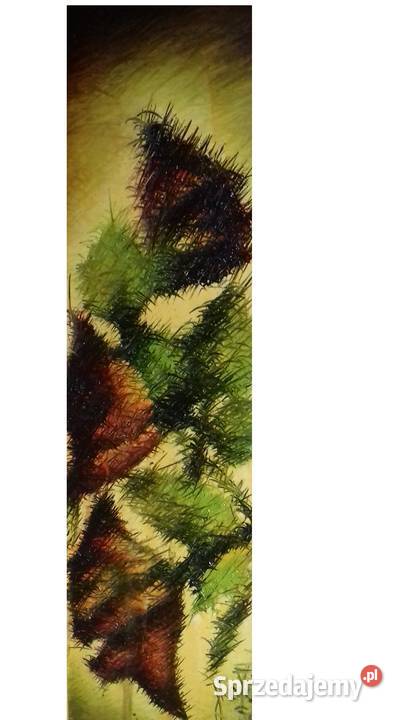 Ekstremalne Róże Legenda sprzedam