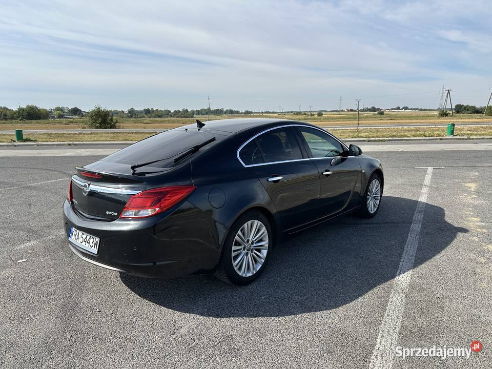 Opel Insignia Staszów