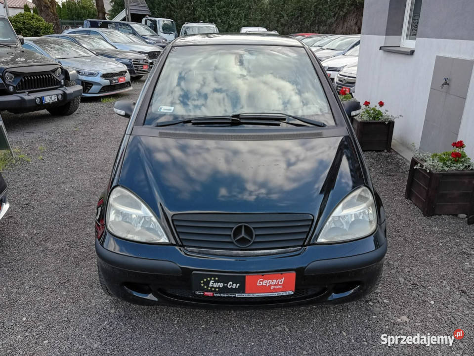 Mercedes A 170 W168 19972004 światła przeciwmgielne Mercedes-Benz Samochody osobowe Janów Lubelski
