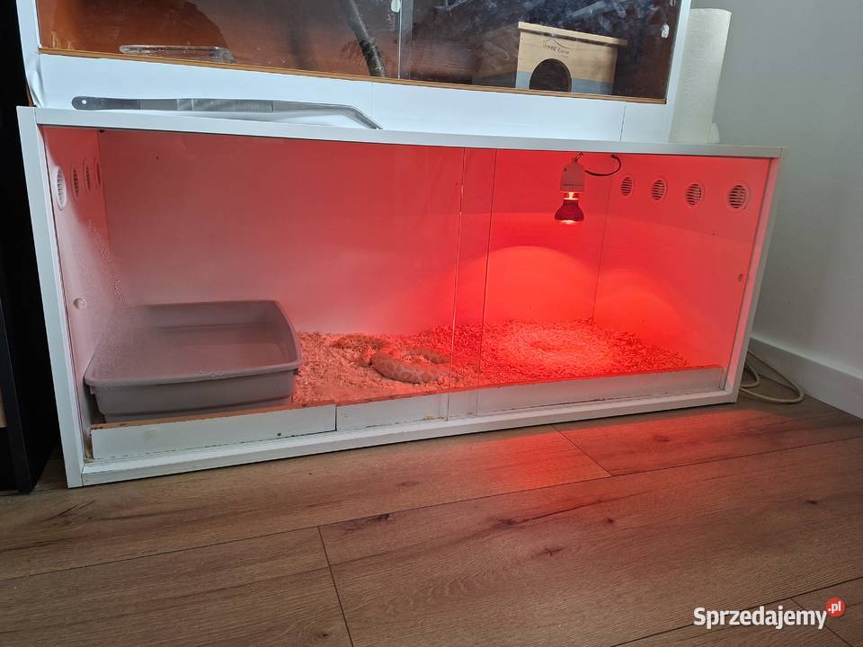 duże terrarium 120x50x50 Brzezie k. Sulechowa