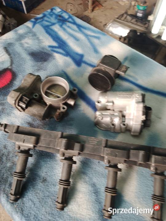 Opel Signum Vectra 22 Direct 155 przepustnica i Zochcin