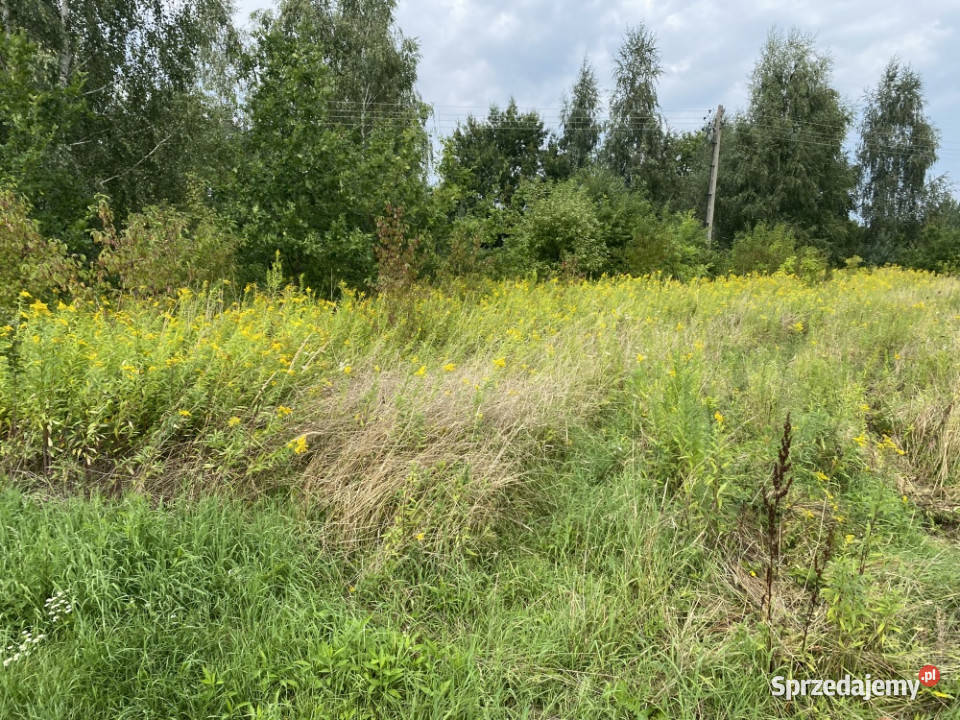 Działka inwestycyjna pod usługi 18 centrum 162zł/m2 Sprzedaż Kazimierz Dolny