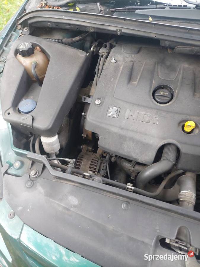 Peugeot 307 manualna Krasnystaw