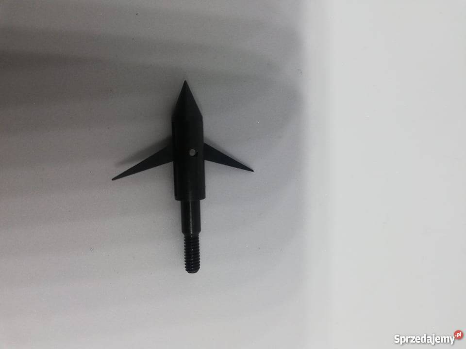 Groty do polowań na ryby bowfishing myśliwskie Nowy Sącz