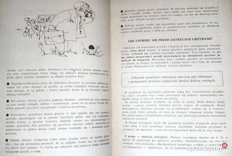 Potrawy i przetwory z grzybów Ilona Dąbrowa sprzedam