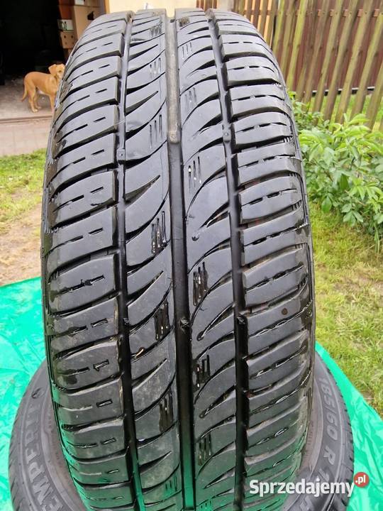 18565 r15 Biała Podlaska