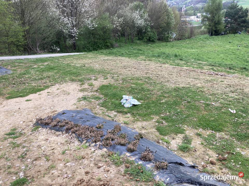 Sprzedam działki widokowe w Przedmieściu 4385m2 Czudec sprzedam