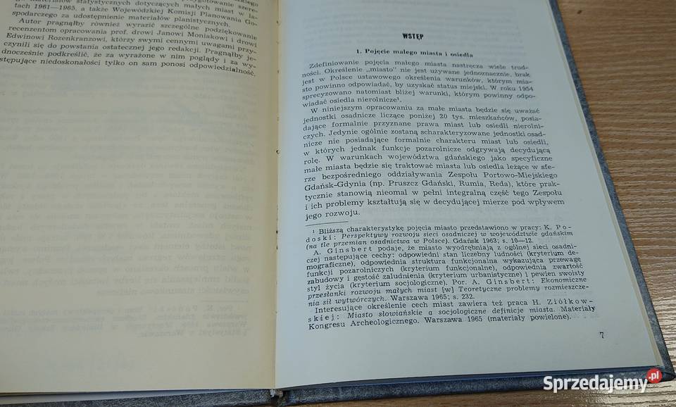 Stan i perspektywy rozwojowe małych miast i
