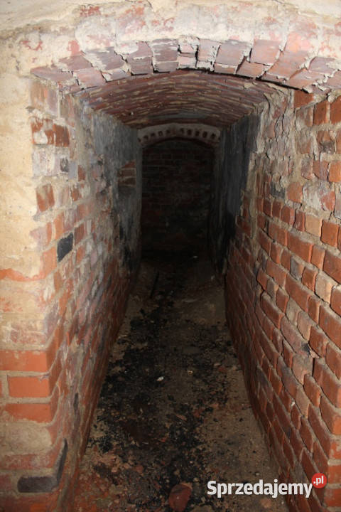 Bezczynszowe mieszkania w historycznej Twardawa