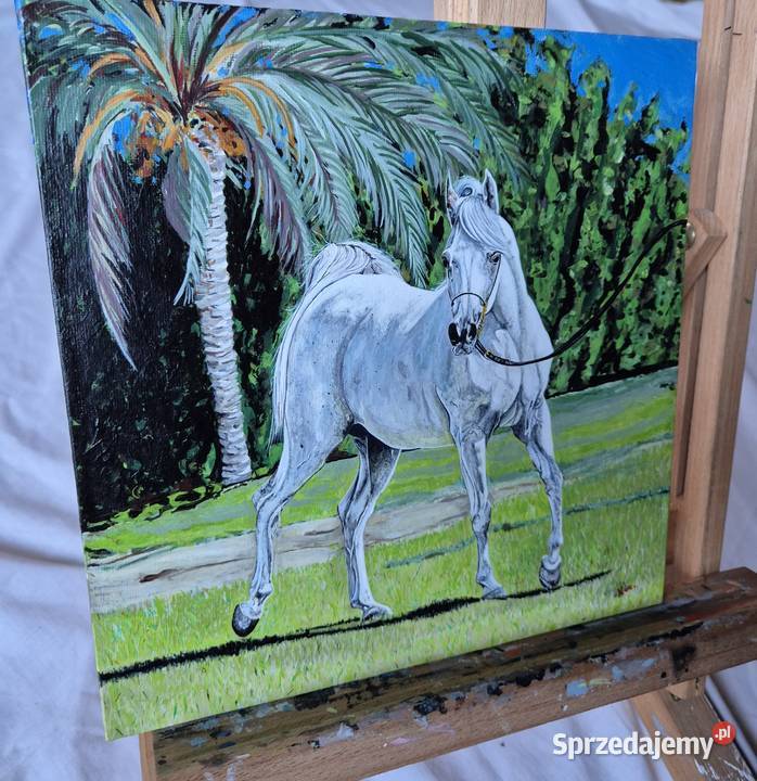 Obraz koń arabski araby konie stajnia klacz