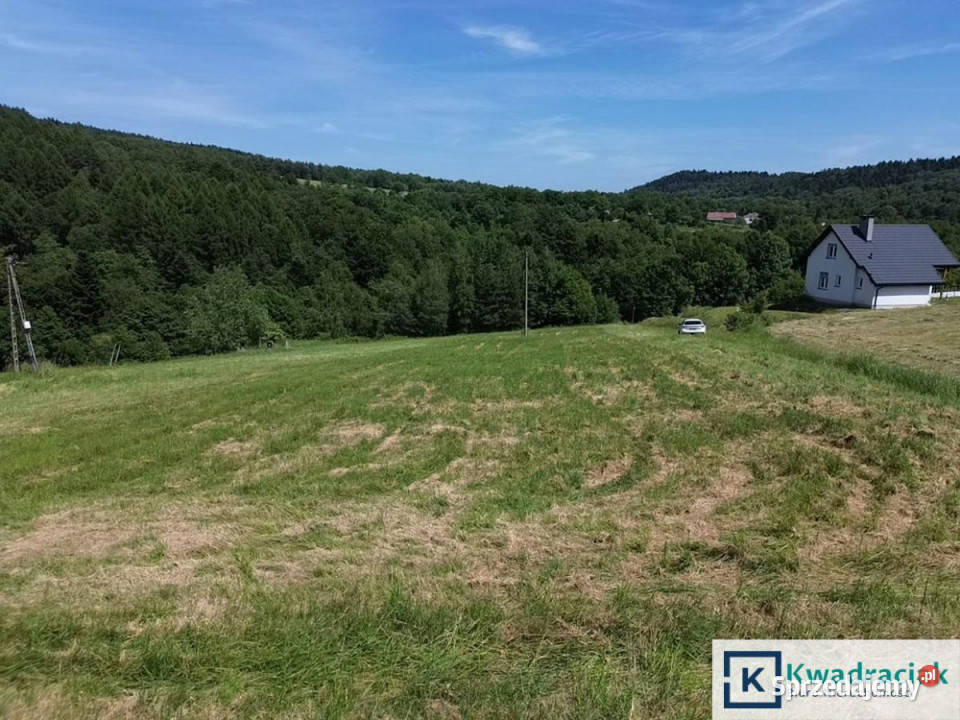 Działka 1589m2 Czarnorzeki sprzedam