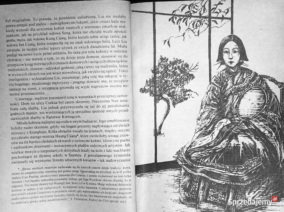 Przypadki pewnego Chińczyka Juliusz Verne