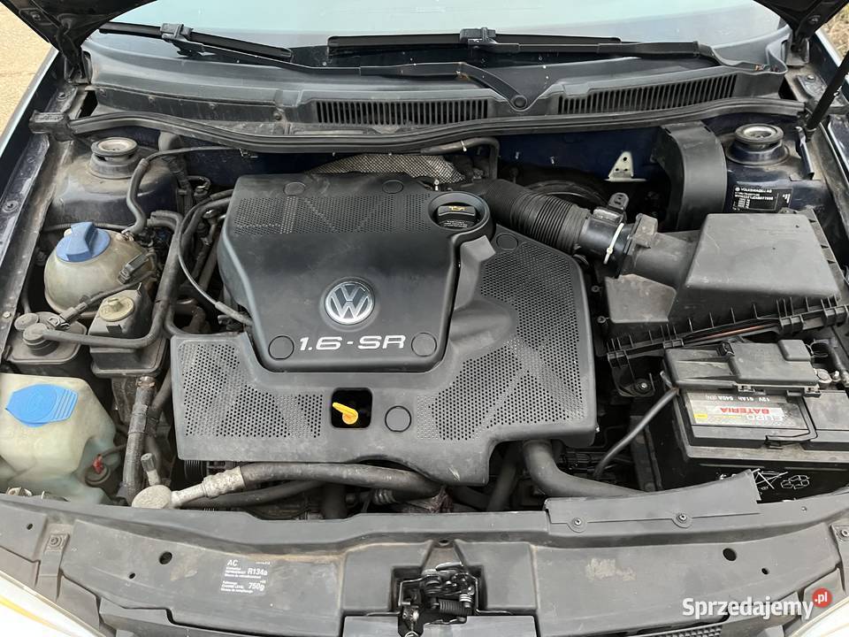 Vw golf4 16 Siedlisko