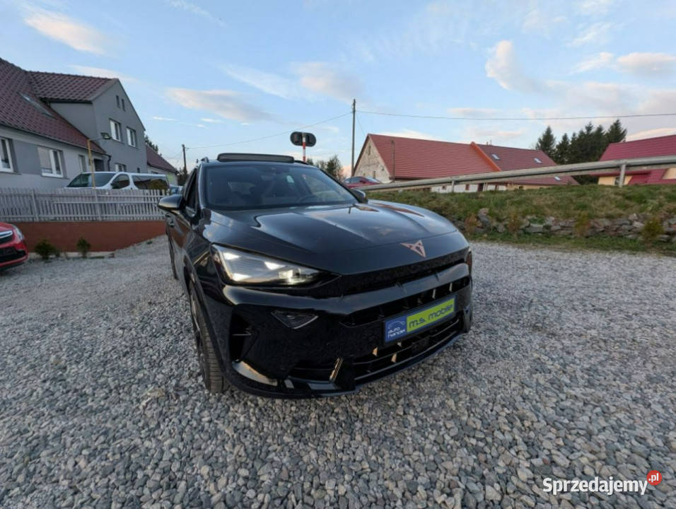 Cupra Formentor Cupra VZ 333 20 TSI 4x4 Full dolnośląskie Kamienna Góra