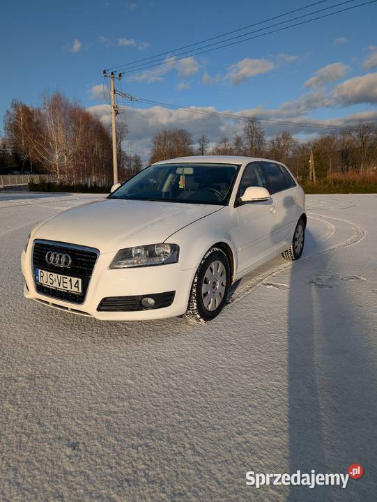 Audi A3 8P Lift 19TDI 105KM