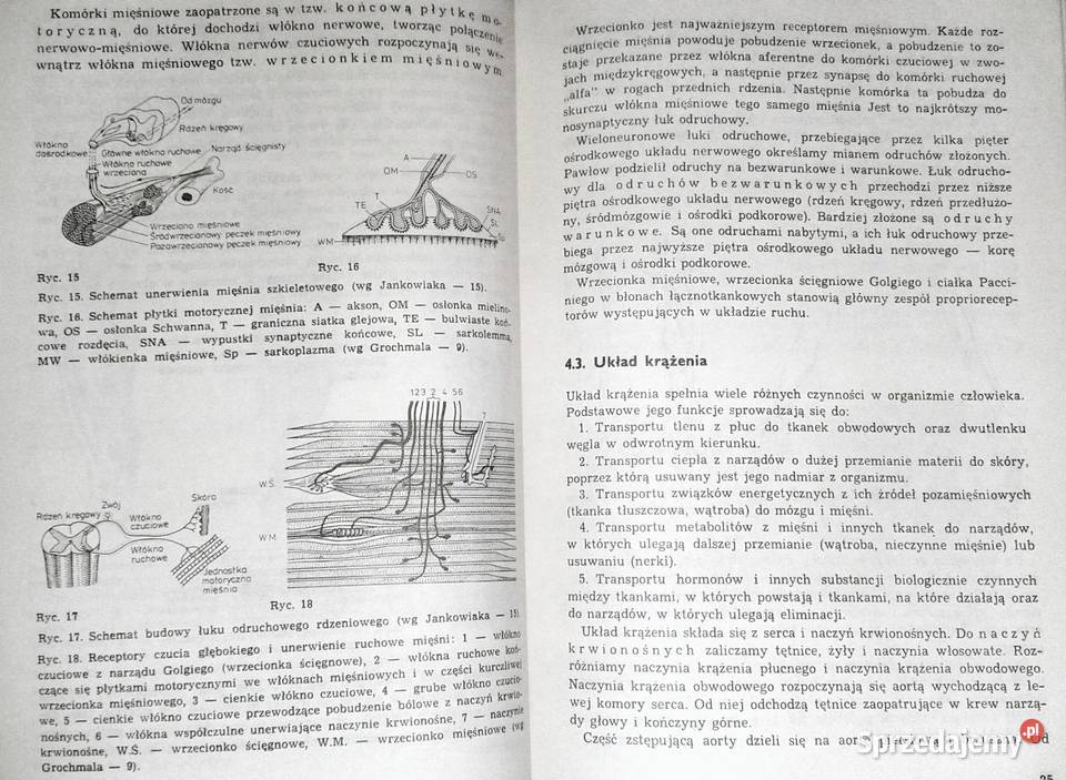 Podstawy masażu leczniczego Zygmunt Prochowicz lubelskie Chełm