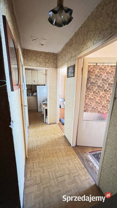 Mieszkanie 3786 Mława