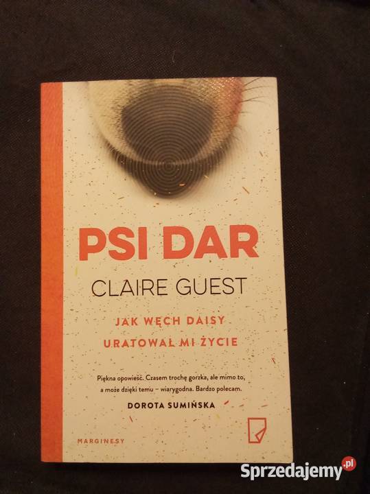 Psi dar Guest