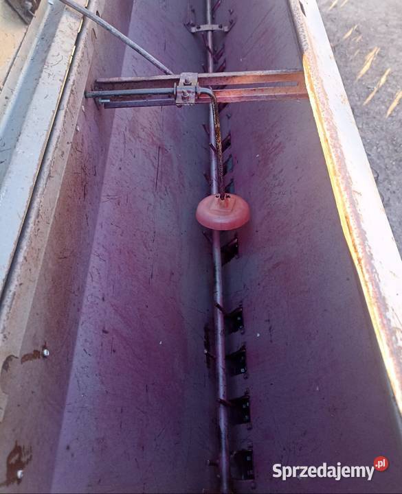 Siewnik zbożowy Poznaniak na docisku