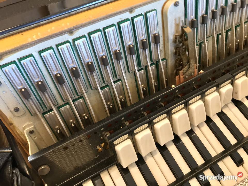 DELICIA Choral XIV AKORDEON 120 basów WALIZKA Instrumenty klawiszowe i MIDI Warszawa sprzedam