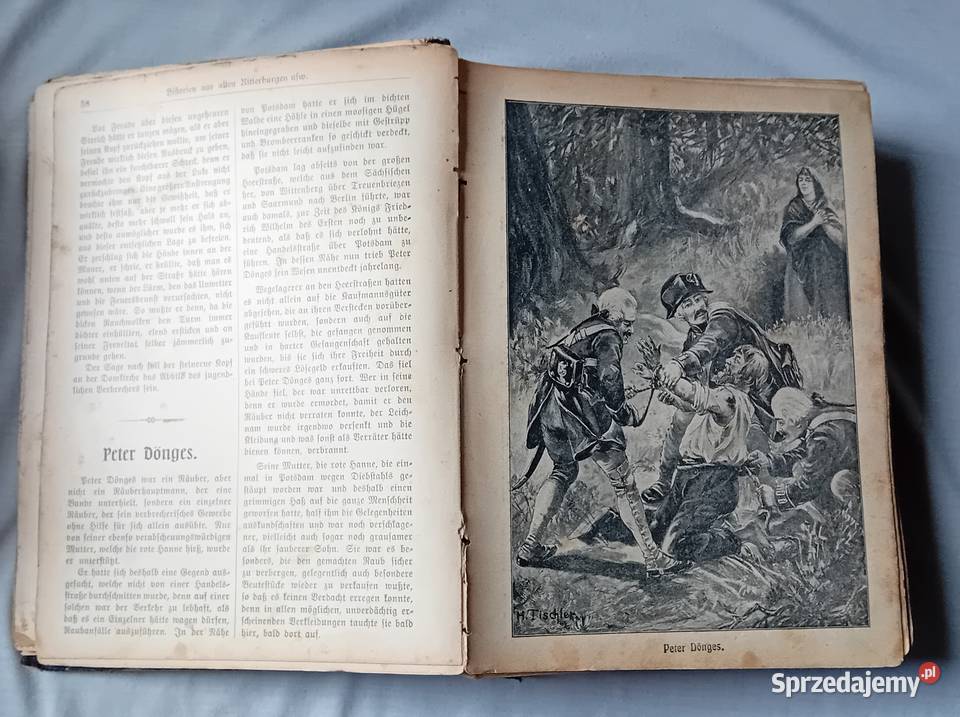 Gustav A Ritter Deutschlands Wunderhorn Około Antykwariat Koźminek