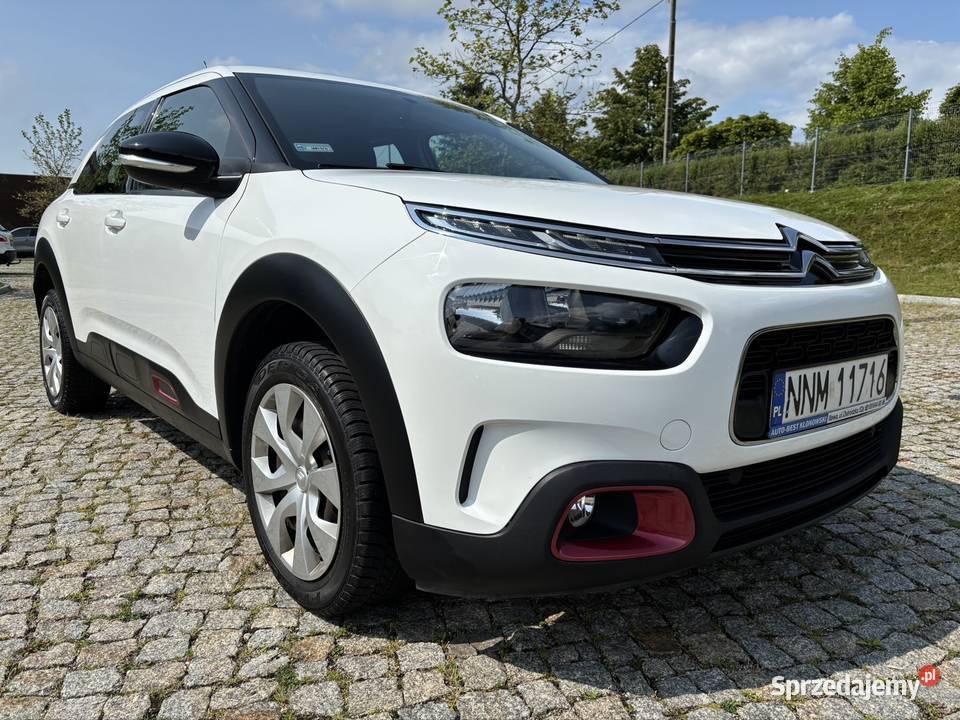 Citroen C4 Cactus I rej 2019 Salon I właściciel kurtyny powietrzne warmińsko-mazurskie Iława sprzedam
