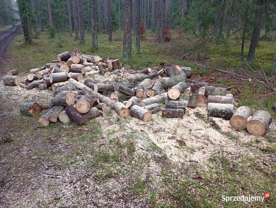 Usługi piłowanie rąbanie układanie wycinki Pisz