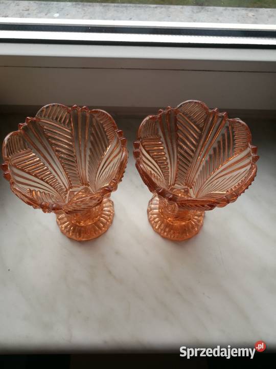 Wazoniki Ząbkowice różowe