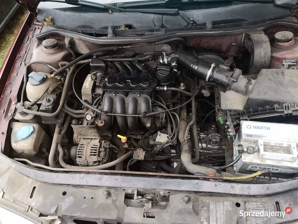 Skoda Octavia 16 Octavia Całowanie