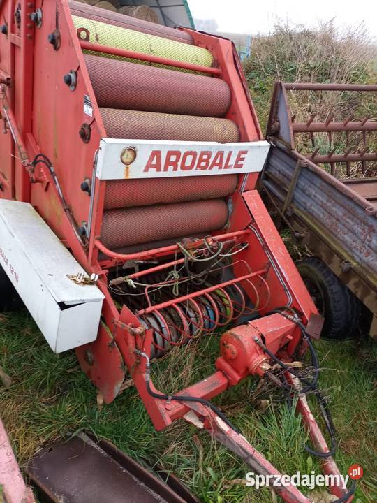 Sprzedam arobale Rolujące (belujące) Andrzejewo