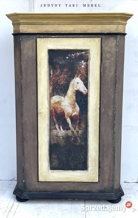 Szafa vintage jednodrzwiowa shabby chic Przeworsk