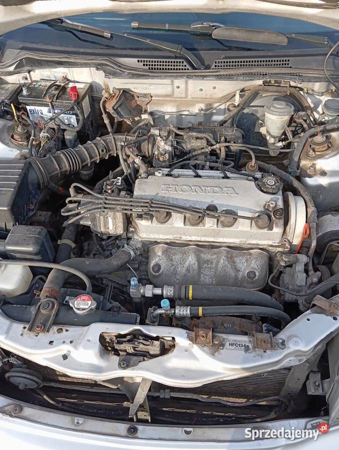 Honda Civic mały orginalny przebieg manualna Parczew