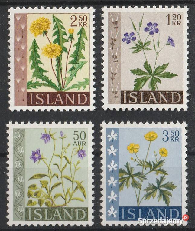 ISLANDIA KWIATY POLNE CZYSTE Łódź