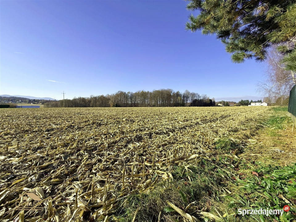 Działka Rudzica 1000m2