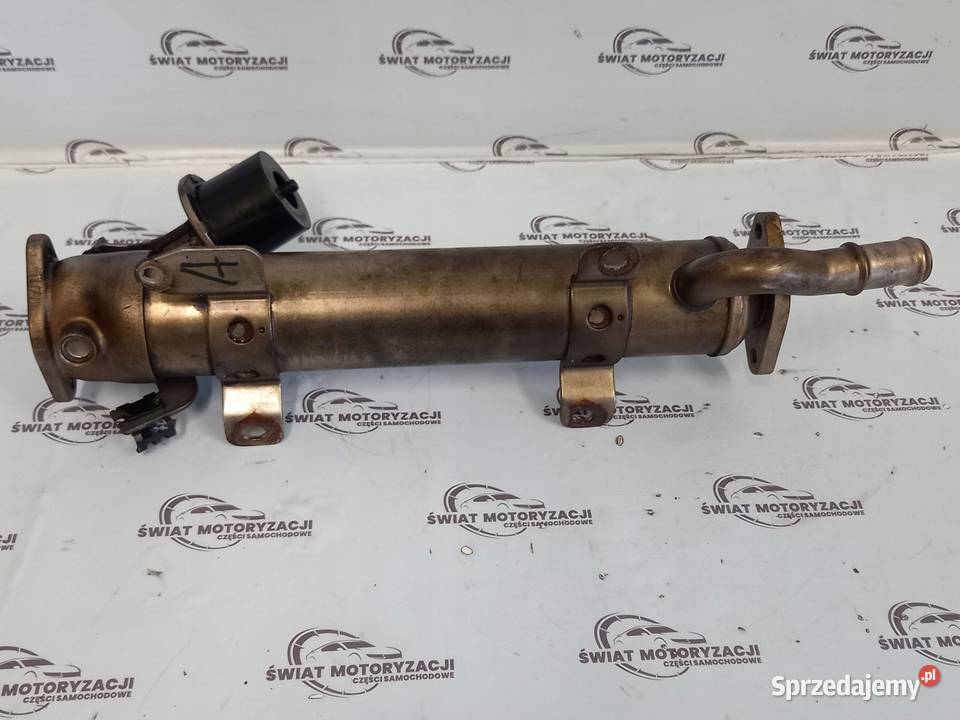 AUDI VW SEAT SKODA 20 TDI CBB 140 chłodniczka świętokrzyskie sprzedam
