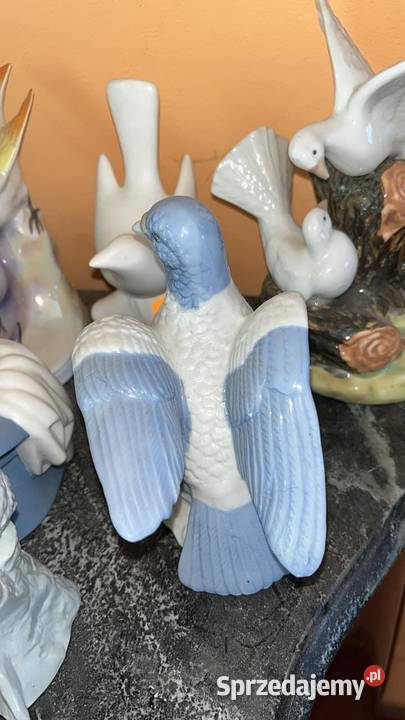 Figurka porcelanowa Piękny Gołąb ptaszek 65 pomorskie Gdańsk