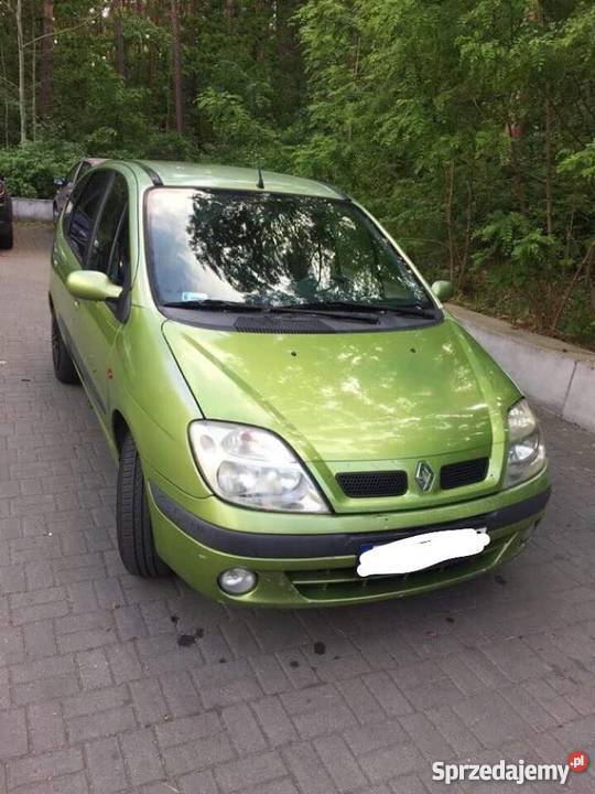 Renault Scenic 2000 benzyna Zielona Góra Sprzedajemy.pl