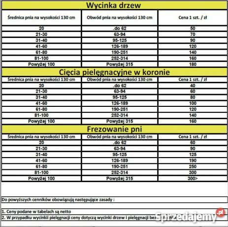 Wycinka drzew Katowice