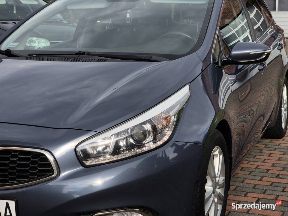 KIA Ceed 2014 2015 z Polskiego salonu dobrze poduszka powietrzna kujawsko-pomorskie Śliwice