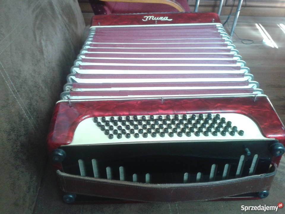 AKORDEON MUZA 80 basów klawiszowe Jaworzno