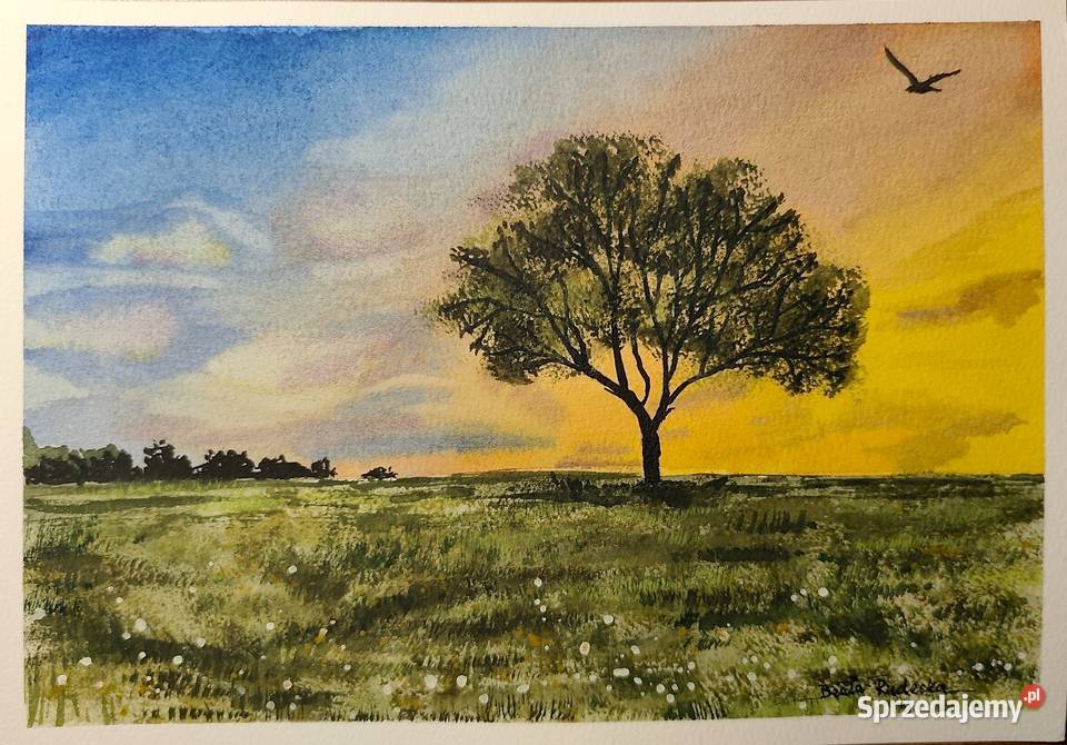 Akwarela Akwarelka Obraz pt Samotnicy 19x27 Malarstwo mazowieckie Walentynów