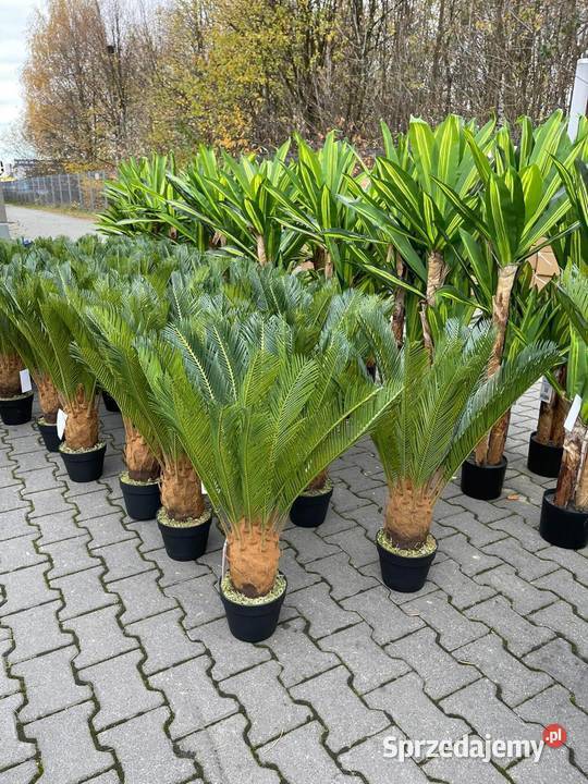 Sztuczna palma jakość Premium w doniczce duża Nowy Sącz