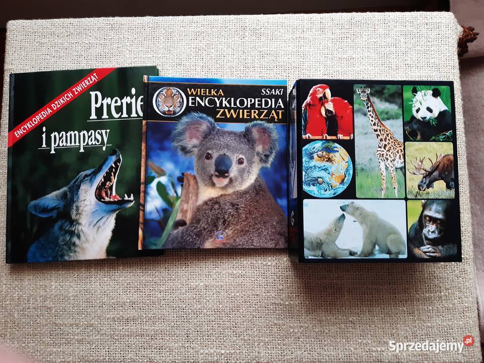 Plus Segregator z kartami zwierząt 2 Albumy Kultura i Rozrywka Kraków