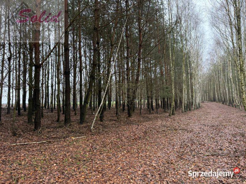 działka z warunkami zabudowy w spokojnej Stawek