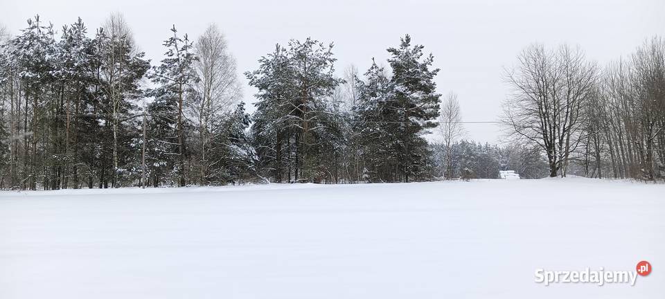 2 działki budowlane w Donimierzu k Szemuda Donimierz