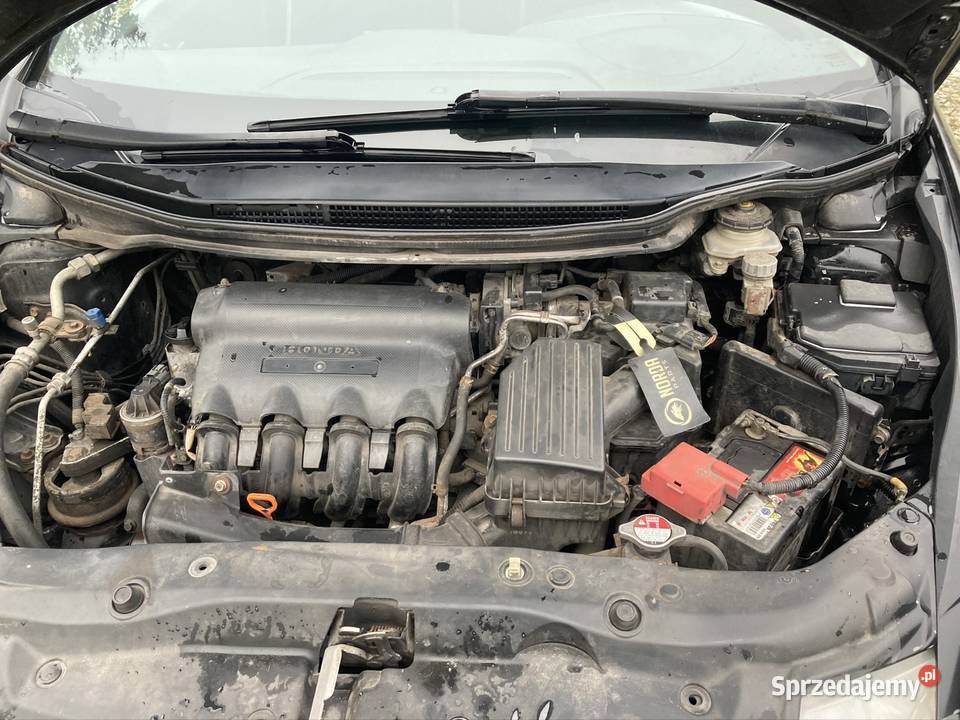 honda civic viii Civic Rudy