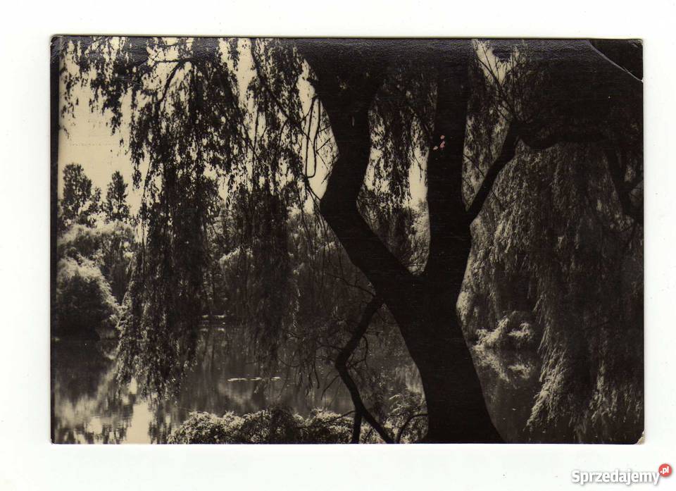 DĄBROWA GÓRNICZA POCZTÓWKA CZARNO BIAŁA